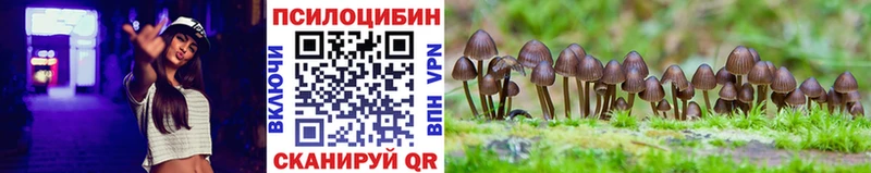 Купить  Уварово  Галлюциногенные грибы мицелий 